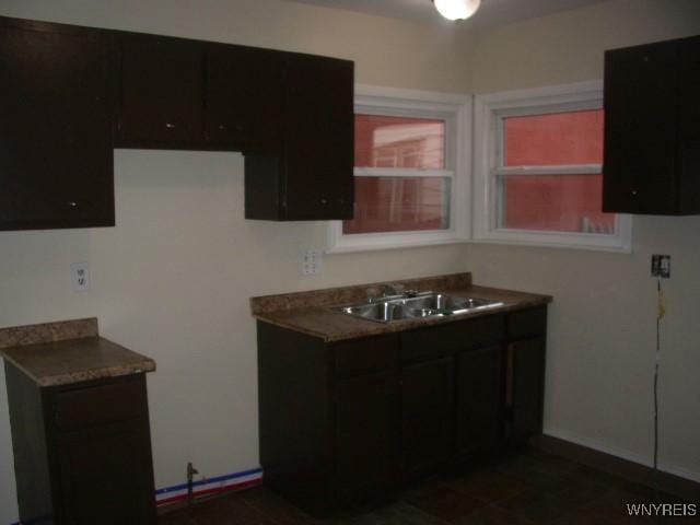 kitchen with sink and dark brown cabinets