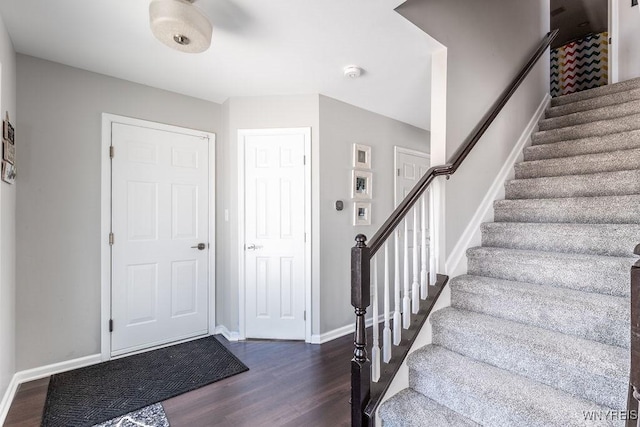 foyer featuring dark wood-type flooring