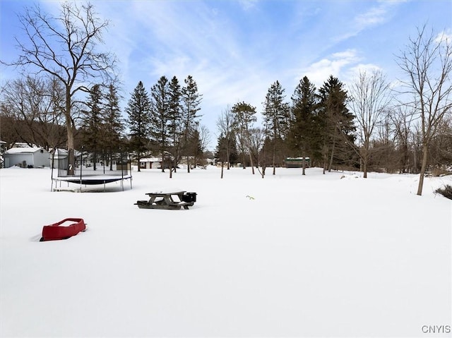 yard layered in snow with a trampoline