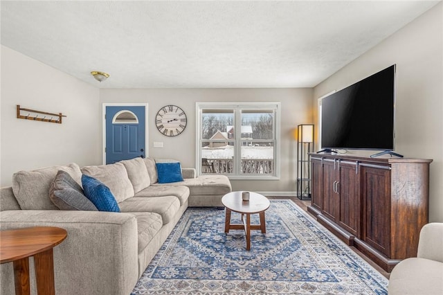 living room featuring a textured ceiling and hardwood / wood-style floors