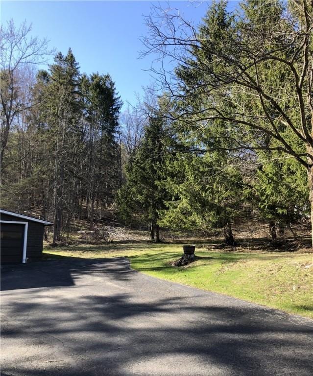 view of road featuring aphalt driveway and a view of trees