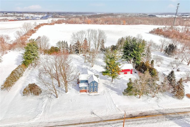 view of snowy aerial view