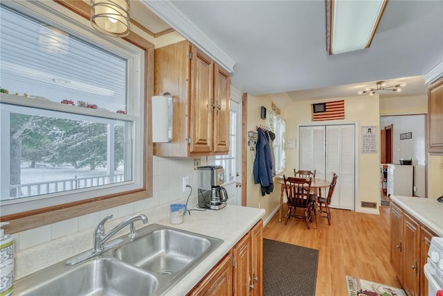 kitchen featuring light hardwood / wood-style floors, sink, and tasteful backsplash