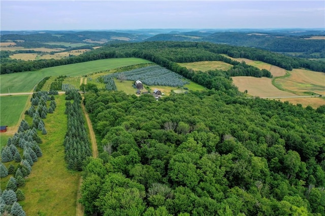 aerial view featuring a rural view