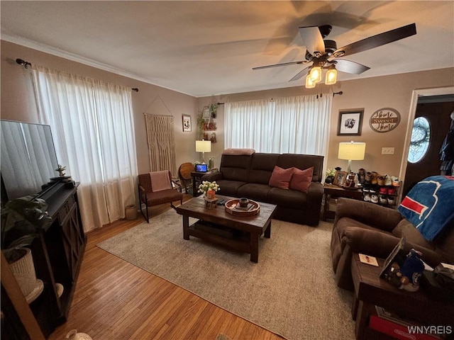 living room featuring hardwood / wood-style flooring, plenty of natural light, and ceiling fan