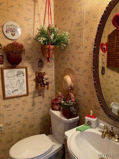 bathroom with a sink and toilet