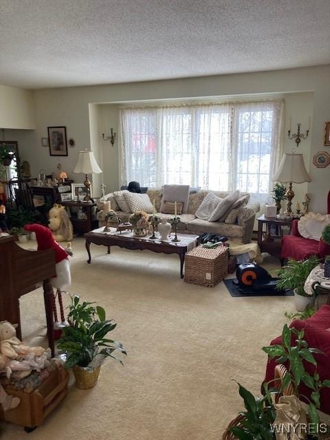 living area with a textured ceiling and carpet flooring