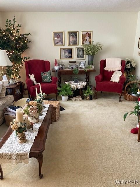 sitting room with carpet