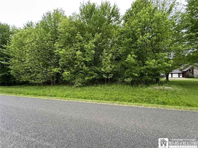 583 Prosser Hill Rd, Kiantone, NY 14701