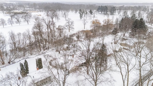 view of snowy aerial view