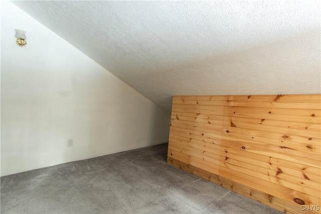 32702 Old Town Springs Rd, Clayton, NY 13622 - additional living space featuring lofted ceiling, wooden walls, carpet floors, and a textured ceiling