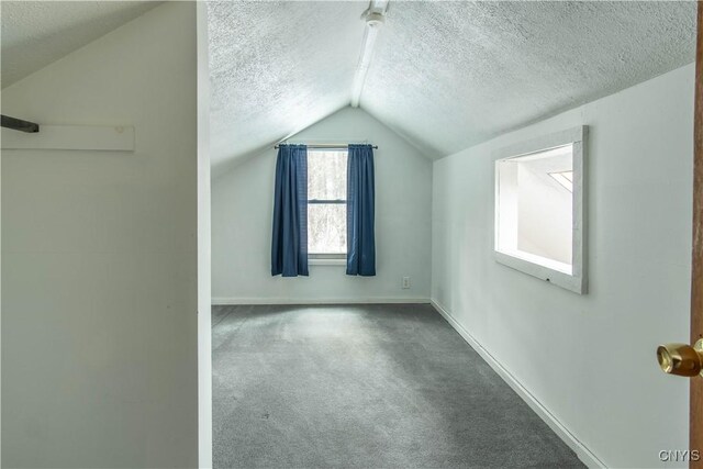 32702 Old Town Springs Rd, Clayton, NY 13622 - bonus room featuring carpet floors, baseboards, vaulted ceiling, and a textured ceiling
