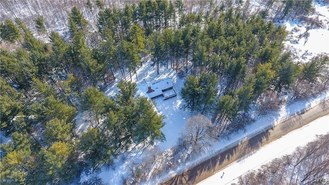 32702 Old Town Springs Rd, Clayton, NY 13622 - bird's eye view