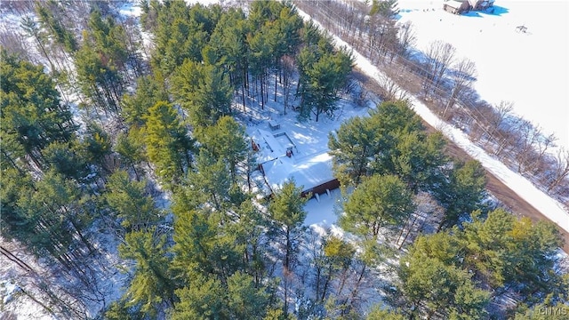 32702 Old Town Springs Rd, Clayton, NY 13622 - birds eye view of property