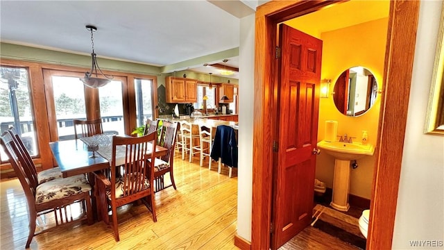 dining room featuring light wood-type flooring