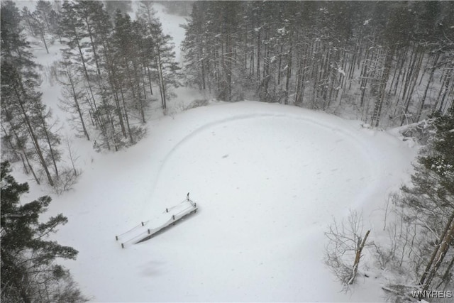 view of snowy aerial view