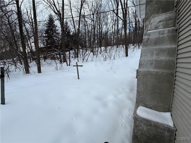 view of yard covered in snow