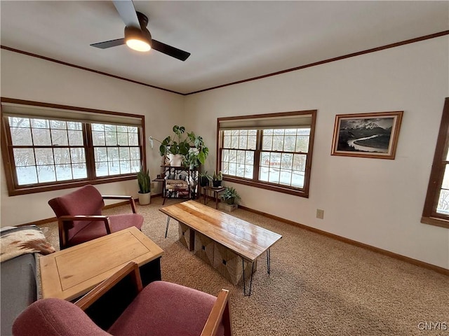 living area with carpet floors, crown molding, plenty of natural light, and baseboards