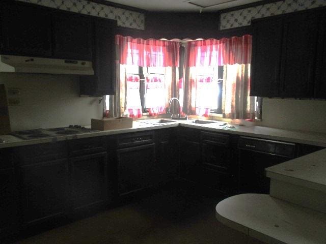 kitchen featuring black dishwasher, a sink, gas stovetop, and under cabinet range hood