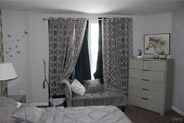 8752 Honeycomb, Cicero, NY 13039 - photo 29