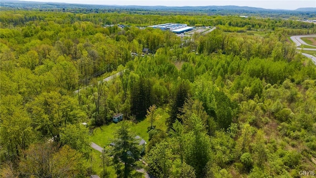 Roberts St, Dewitt, NY 13057