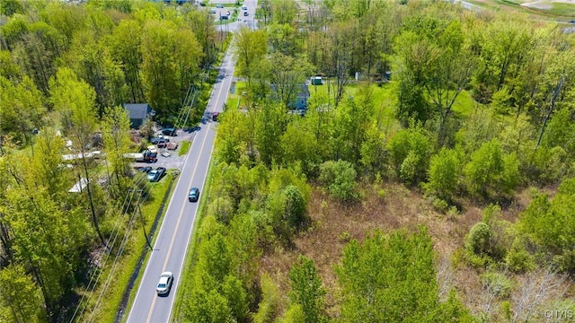 Roberts St, Dewitt, NY 13057
