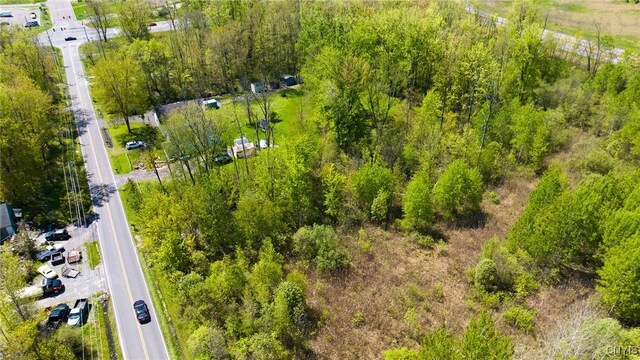 Roberts St, Dewitt, NY 13057