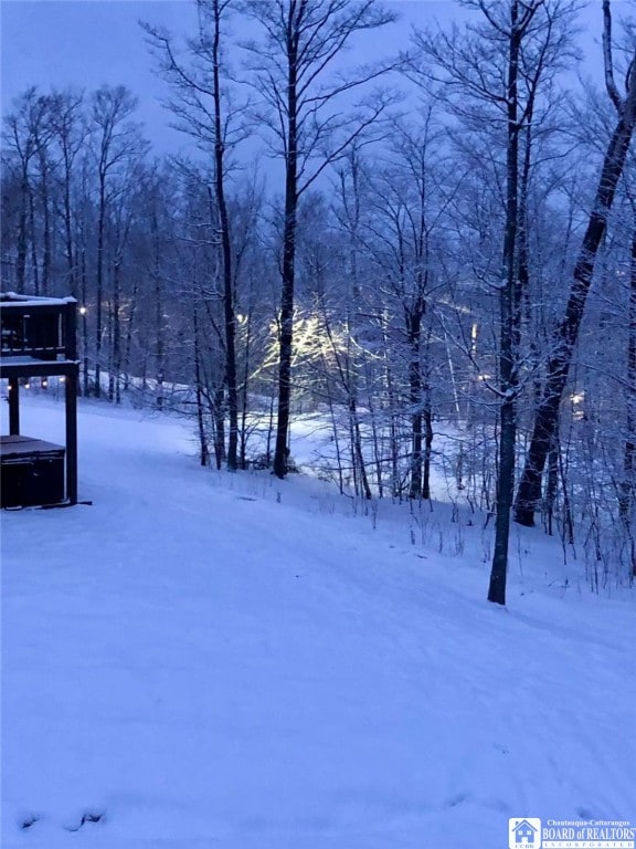 view of yard layered in snow