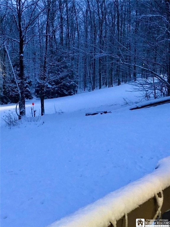 view of yard covered in snow