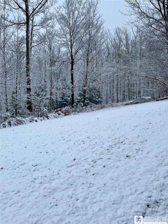 view of yard layered in snow