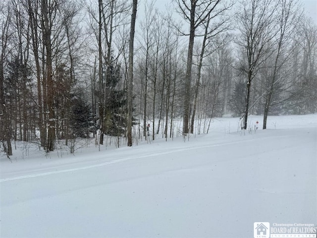 view of yard covered in snow