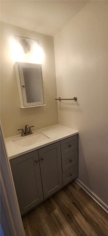 bathroom featuring wood finished floors and vanity