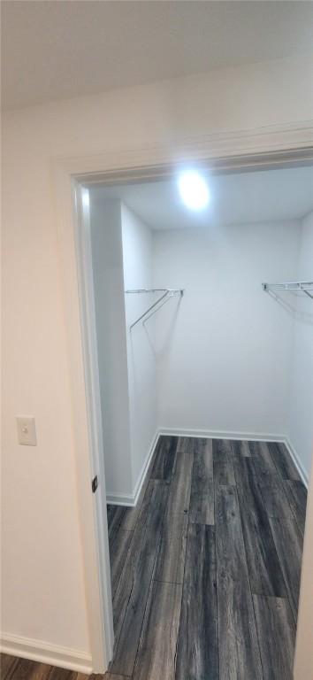 spacious closet featuring dark wood-style flooring