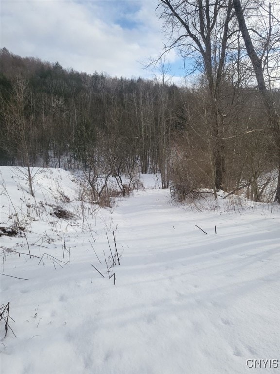 580 Honey Hollow Rd, Windsor, NY 13865