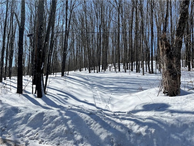 0 Freer Hollow Rd, Franklin, NY 13775