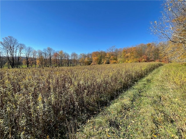 0 Freer Hollow Rd, Franklin, NY 13775 - photo 18