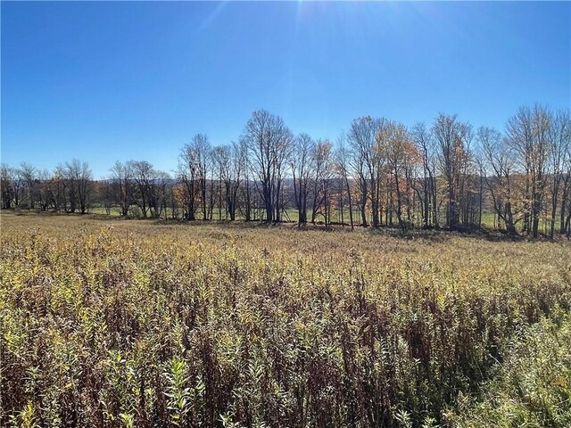 0 Freer Hollow Rd, Franklin, NY 13775 - photo 19