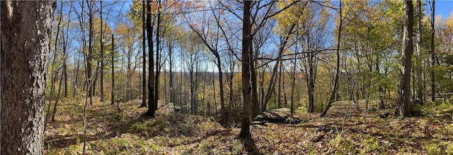 0 Freer Hollow Rd, Franklin, NY 13775 - photo 20