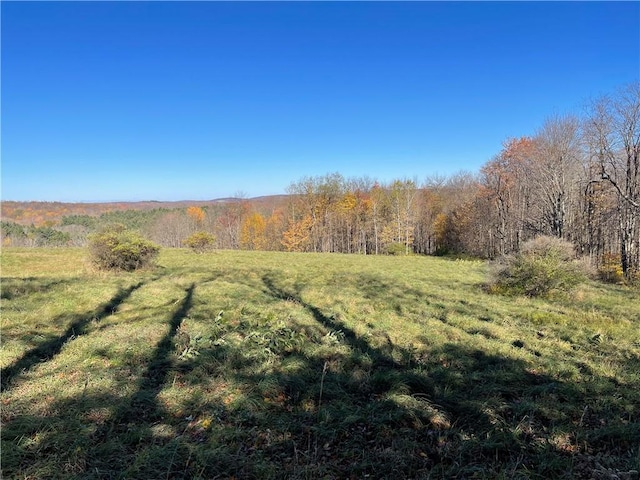 0 Freer Hollow Rd, Franklin, NY 13775 - photo 21