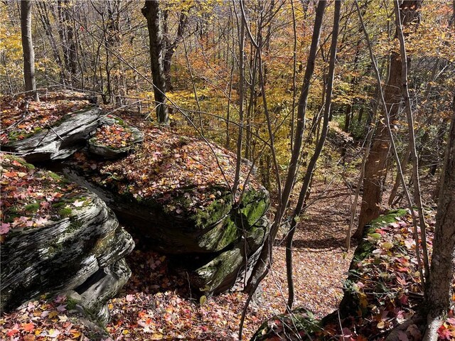 0 Freer Hollow Rd, Franklin, NY 13775 - photo 13