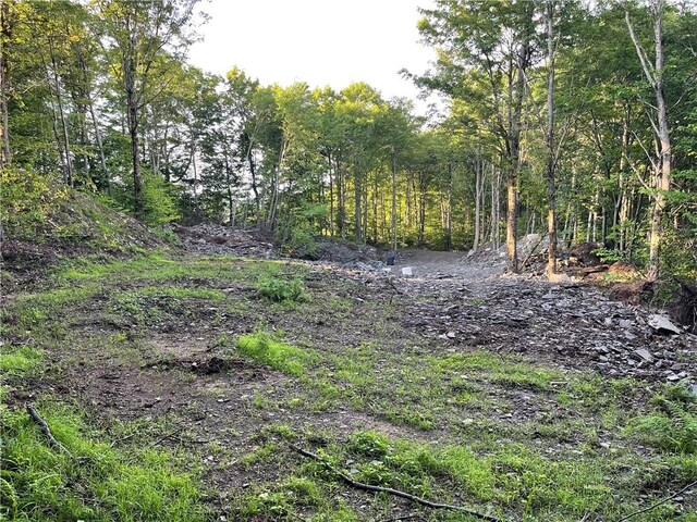 0 Freer Hollow Rd, Franklin, NY 13775 - photo 14