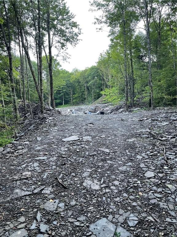 0 Freer Hollow Rd, Franklin, NY 13775 - photo 15