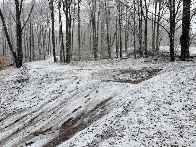 0 Freer Hollow Rd, Franklin, NY 13775 - photo 16