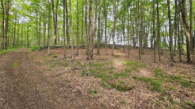0 Freer Hollow Rd, Franklin, NY 13775 - photo 9