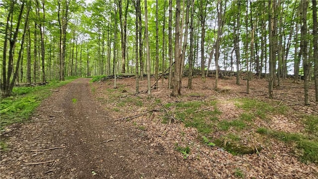 0 Freer Hollow Rd, Franklin, NY 13775 - photo 1