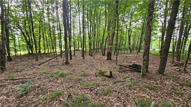 0 Freer Hollow Rd, Franklin, NY 13775 - photo 8