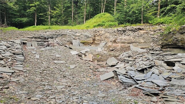 0 Freer Hollow Rd, Franklin, NY 13775 - photo 10