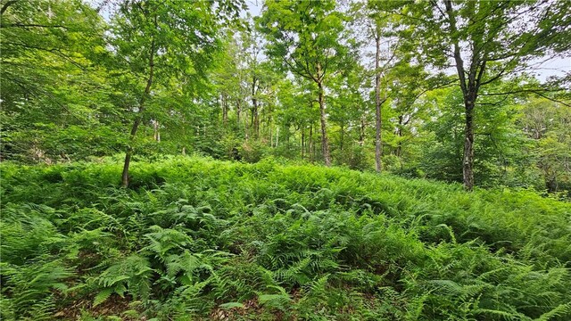 0 Freer Hollow Rd, Franklin, NY 13775 - photo 3