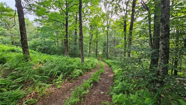 0 Freer Hollow Rd, Franklin, NY 13775 - photo 2