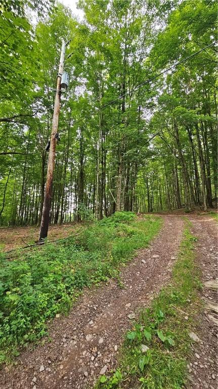 0 Freer Hollow Rd, Franklin, NY 13775 - photo 5